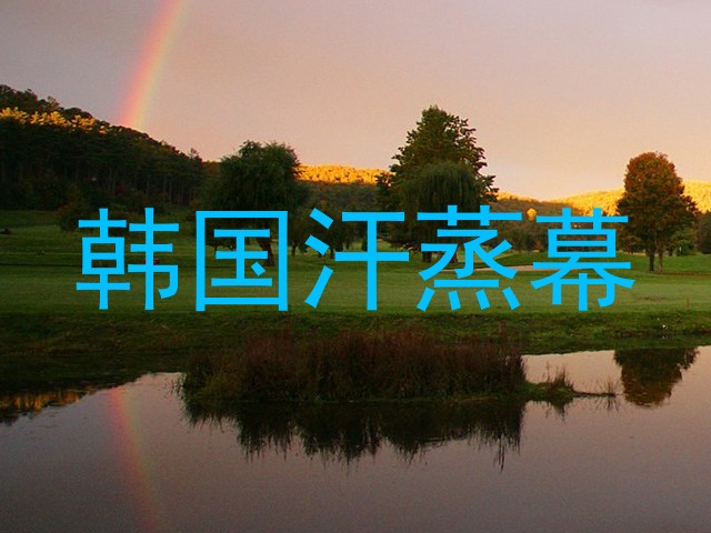 韩国汗蒸幕