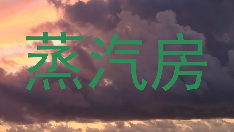 蒸汽房