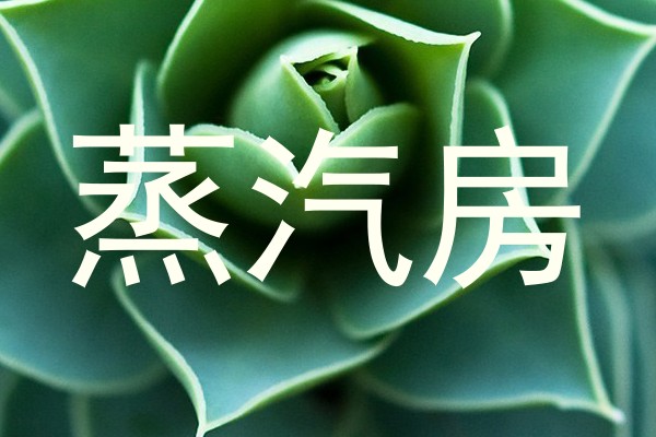 蒸汽房