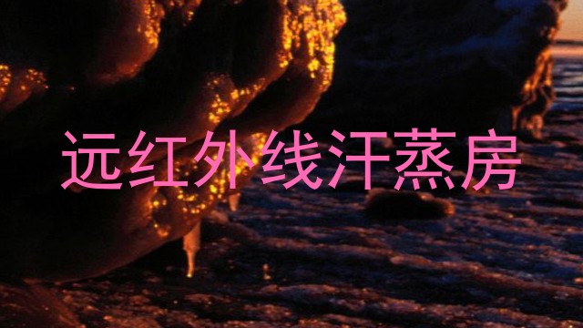 远红外线汗蒸房