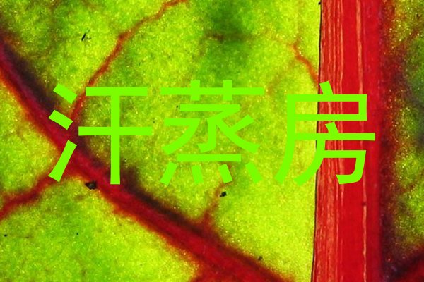 汗蒸房