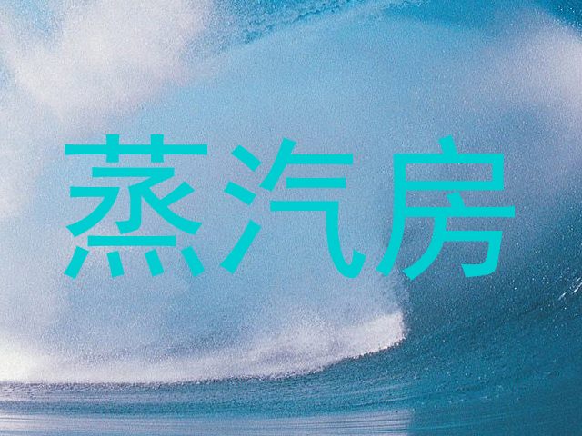 蒸汽房