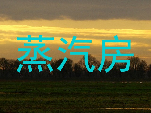 蒸汽房