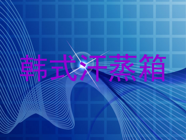 韩式汗蒸箱