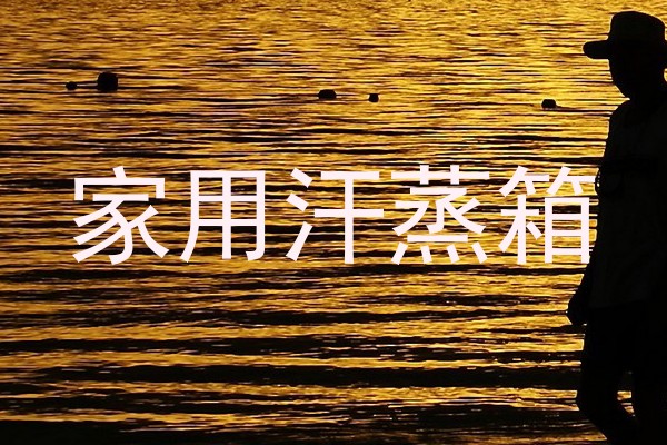 家用汗蒸箱