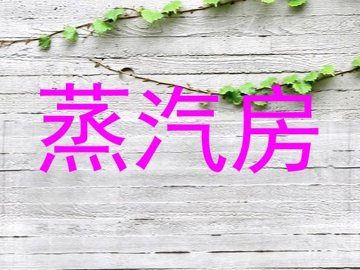 蒸汽房