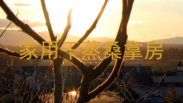 家用干蒸桑拿房