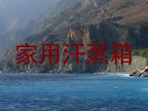 家用汗蒸箱