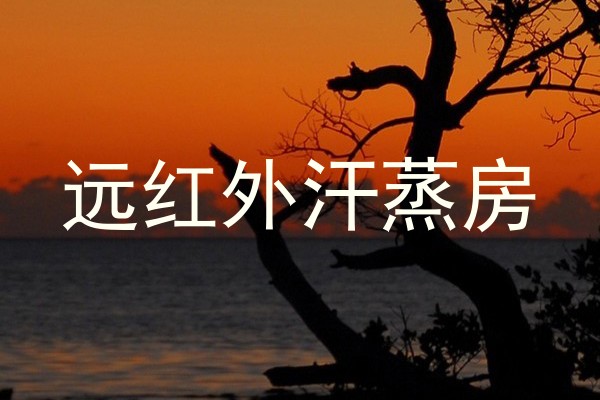 远红外汗蒸房