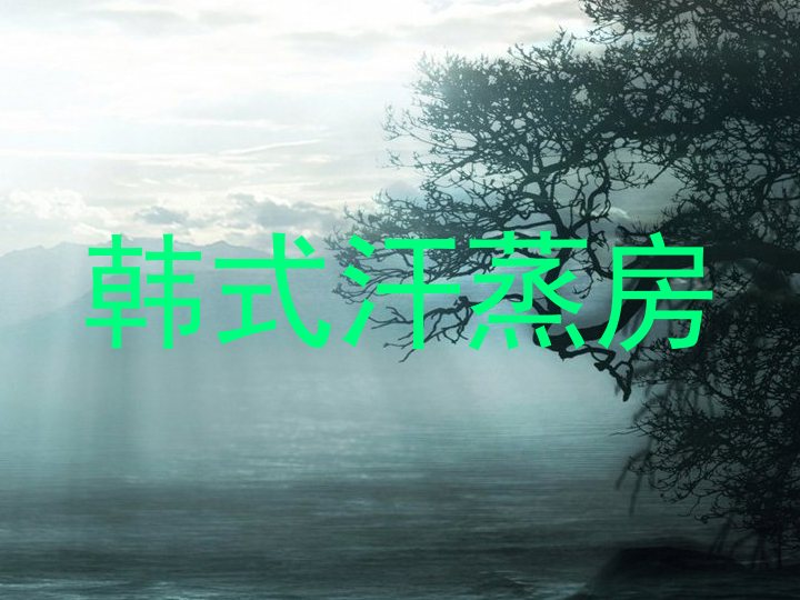 韩式汗蒸房