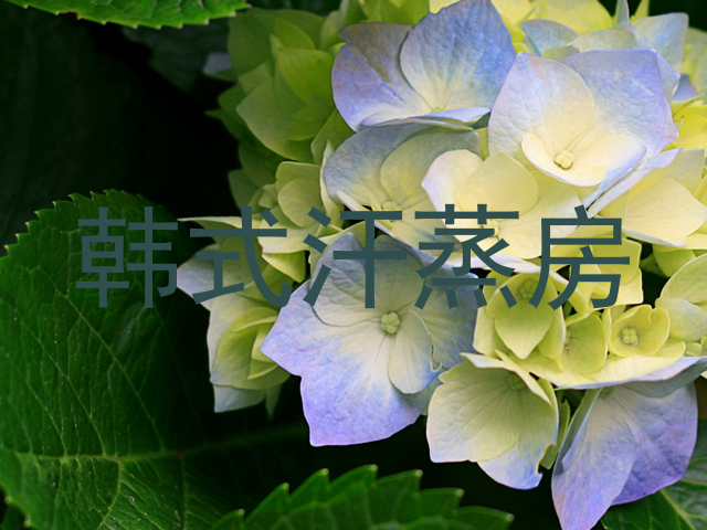 韩式汗蒸房