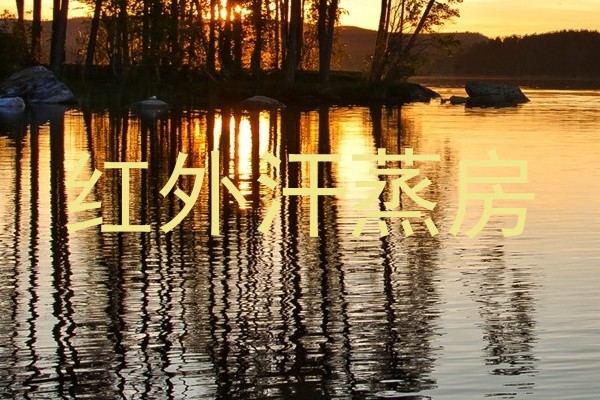 红外汗蒸房