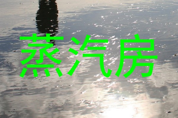 蒸汽房
