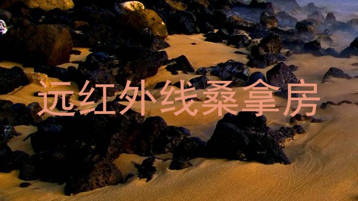 远红外线桑拿房