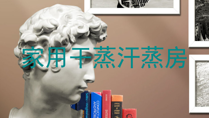 家用干蒸汗蒸房