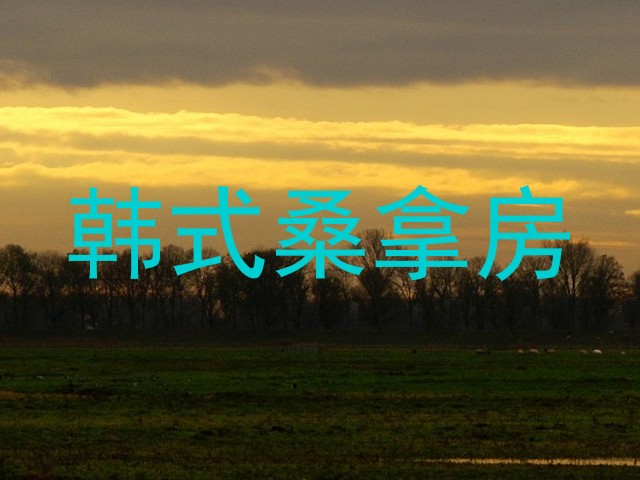 韩式桑拿房