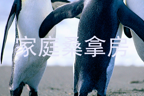 家庭桑拿房