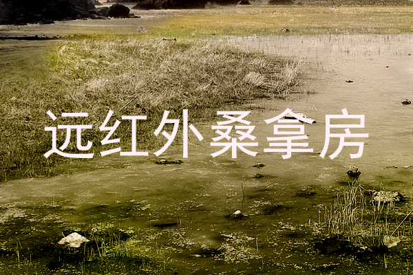 远红外桑拿房