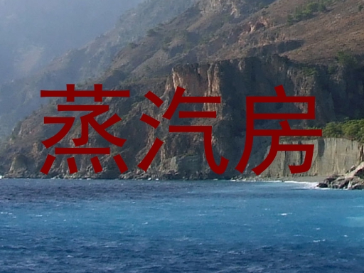 蒸汽房