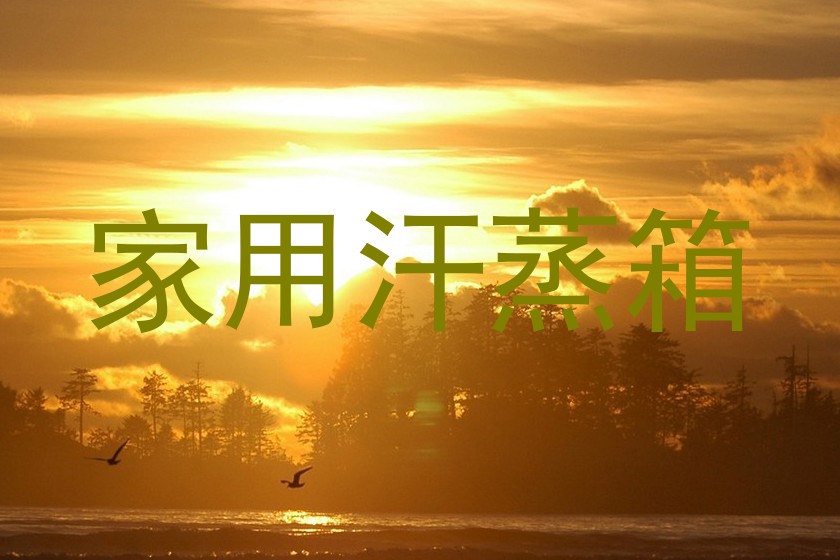 家用汗蒸箱