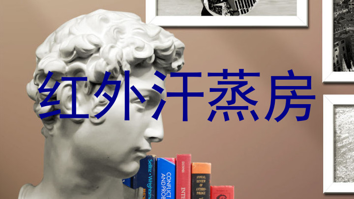 红外汗蒸房