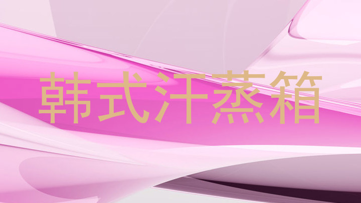 韩式汗蒸箱