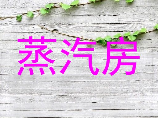蒸汽房