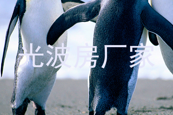 光波房厂家