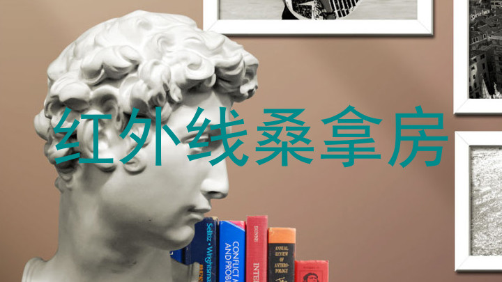 红外线桑拿房