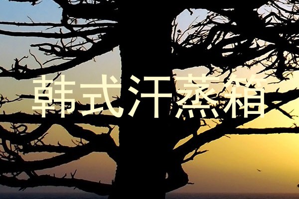 韩式汗蒸箱