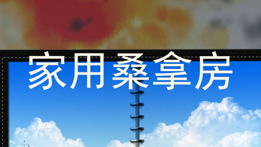 家用桑拿房