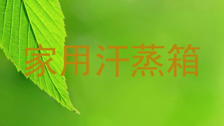 家用汗蒸箱