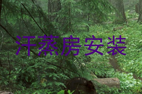 汗蒸房安装