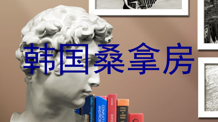 韩国桑拿房