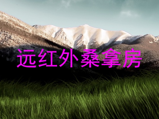 远红外桑拿房