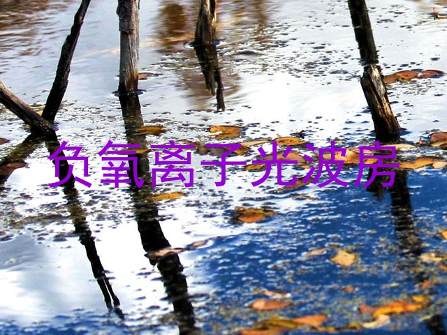负氧离子光波房