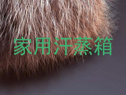家用汗蒸箱