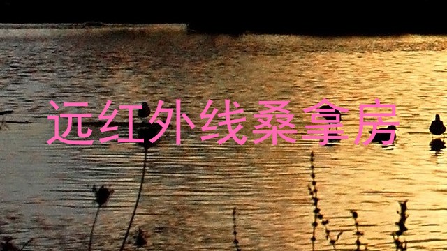 远红外线桑拿房