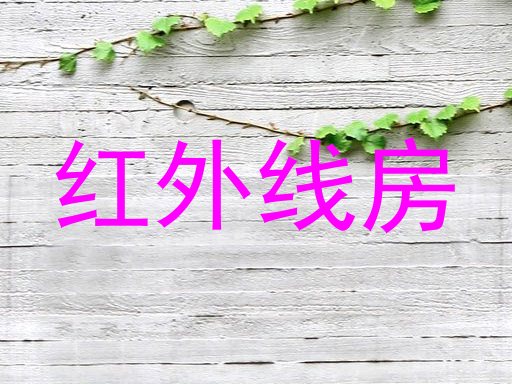 红外线房