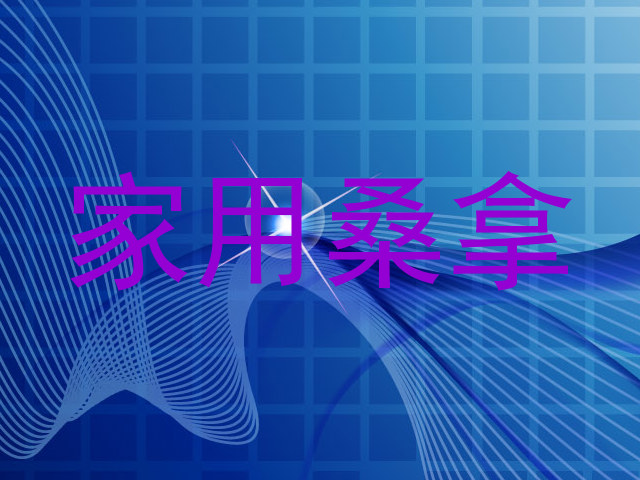 家用桑拿