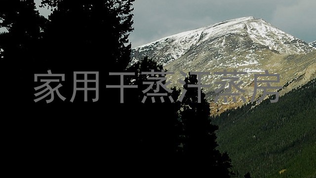 家用干蒸汗蒸房