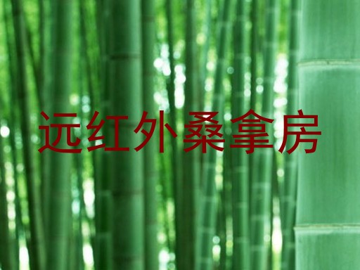 远红外桑拿房