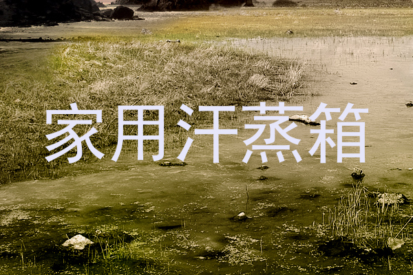 家用汗蒸箱