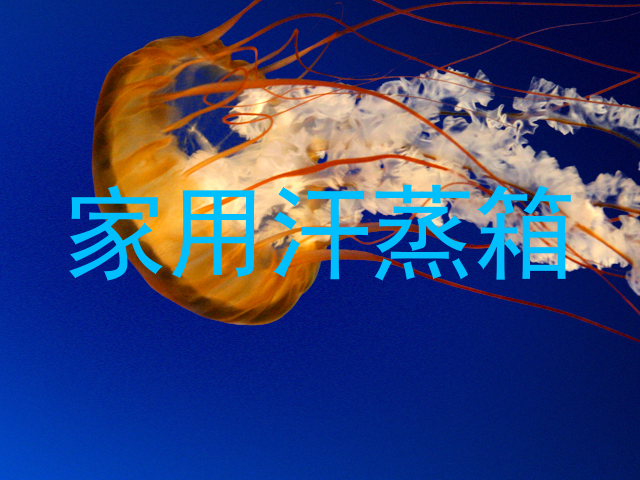 家用汗蒸箱