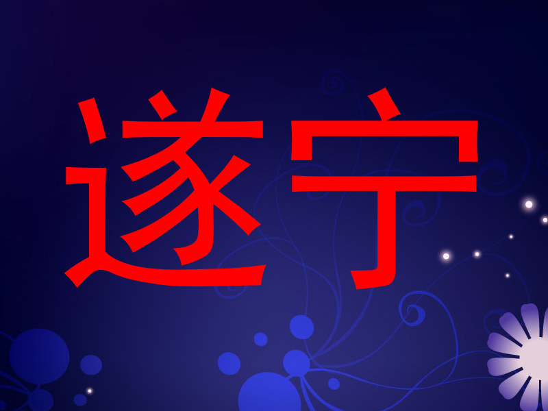 遂宁