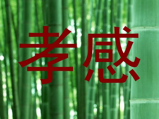 孝感
