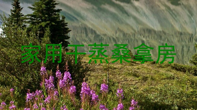家用干蒸桑拿房