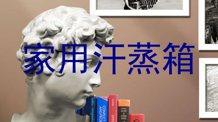 家用汗蒸箱