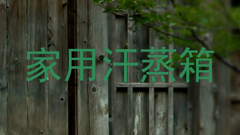 家用汗蒸箱
