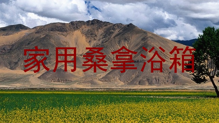 家用桑拿浴箱